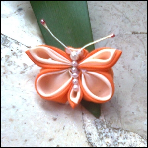 butterfly orange, bros kupu-kupu