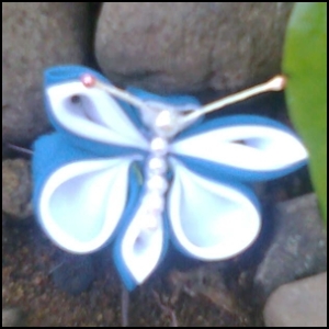 butterfly Blue, bros unik