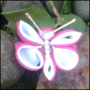 Butterfly pink, bros cantik
